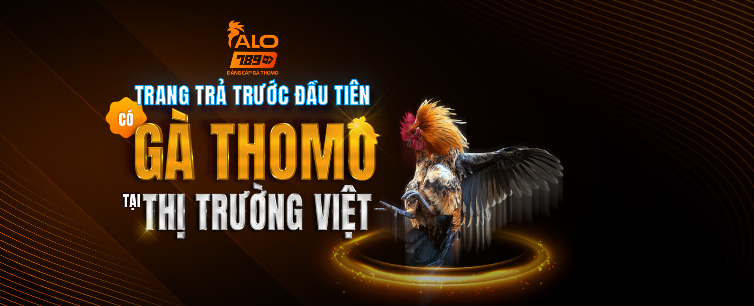 alo789 trang trả trước gà thomo